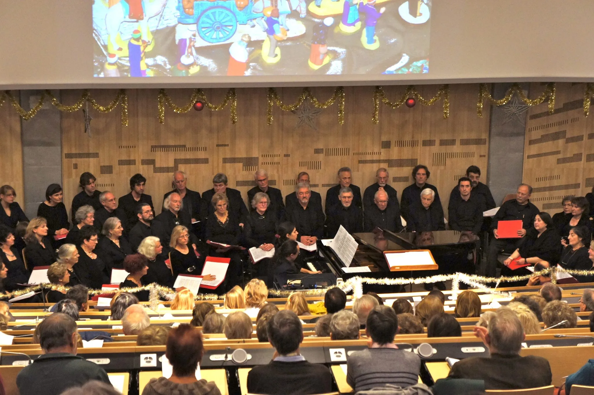 Nous cherchons chanteurs confirmés !